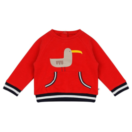 0  Ducky Beau sweater CGSW22 tomato