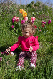  0  Quapi broekje  NOA roze-rood