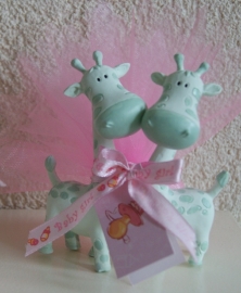 2 MAGNEET GIRAFFEJES INCL TULE