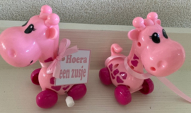 LEUKE ROZE GIRAFFE INCL KAARTJE HOERA EEN ZUSJE