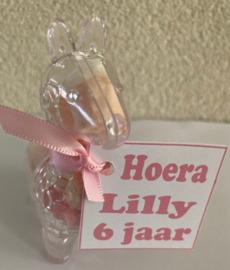 Alpaca gevuld met mini spekjes lintje en kaartje