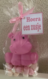 ZAKJE MET MINI SPEKJES, NIJLPAARD EN KAARTJE EEN ZUSJE