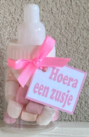 PAPFLESJE MET MINI SPEKJES EN KAARTJE HOERA EEN ZUSJE