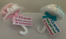 PARAPLU GEVULD MET MINI SPEKJES