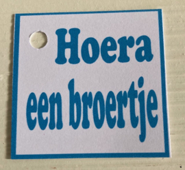 BLAUWE BEREN SLEUTELHANGER INCL KAARTJE