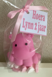 FOLIEZAKJE MET BAD SPEELTJE NIJLPAARD INCL SNOEP EN  KAARTJE