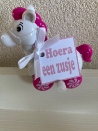 LEUK PAARDJE ROZE INCL KAARTJE EEN ZUSJE