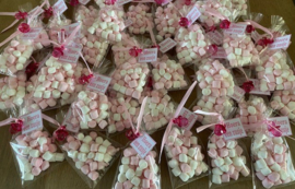 ZAKJE MINI MARSHMALLOWS MET SPEENTJE