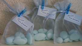 LICHT BLAUW ORGANZA ZAKJE COMPLEET