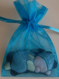 TURQUOISE ORGANZA ZAKJE INCL CHOCOLADE BABY