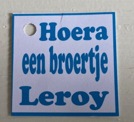 BEREN SLEUTELHANGER INCL 4 SPEKBOLLEN EN KAARTJE BROERTJE