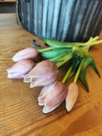 Tulpjes korte steel mauve /zachtpaars-lila
