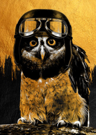 Owl A3, Mint by Michelle decoupagepaper