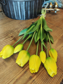 Lange tulp open en dichte knop geel yellow