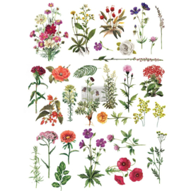 Floral Collection, decor transfer Redesign 60,9 x 88,9 cm