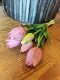 Tulpjes korte steel roze /vintage pink