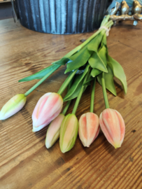 Lange tulp dichte knop soft pink