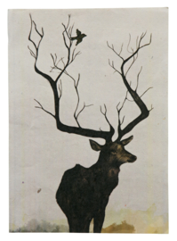 O deer Poster XL Be Pure