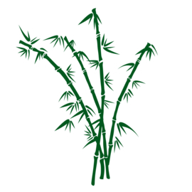 Muursticker Bamboe