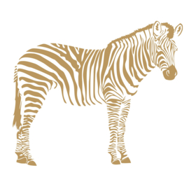 Zebra zijkant