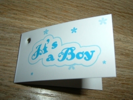 Mini Kaartjes "It's a boy".