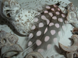 Mooie zwarte veertjes met vintage roze stippen van 4 cm.