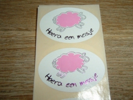 Hoera een meisje met schaapje