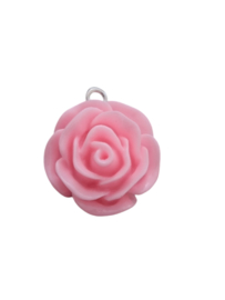 Bedel bloem (6)