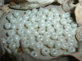 75 Stuks mooie glanzende witte glaskraaltjes