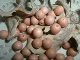 Mooie nature houten kralen in beige/roze van 6 mm.