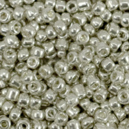 Glaskralen Rocailles 3 mm Metalic shine warm silver 10 gram