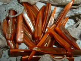 Langwerpige schelpen in mooie bruinoranje tinten
