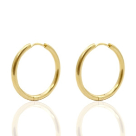 Roestvrij stalen (RVS) Stainless steel oorbellen creolen 19mm Goud (per paar)