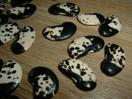 Mooie zwart met witte zaden kralen