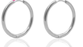 Roestvrij stalen (RVS) Stainless steel oorbellen creolen 19mm Zilver (per paar)