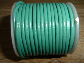 Rond DQ leerkoord van 2 mm. in een mooie zeegroene kleur
