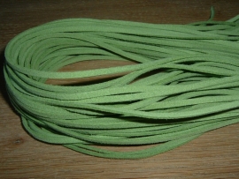 Mooie appelgroene imitatie suede veters