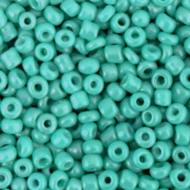 Glaskralen Rocailles 3 mm Teal green 10 gram