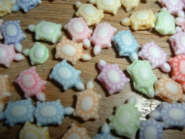 Mooie pastelkleurige mix van kleine schildpadjes