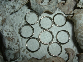 Mooie kleine  zilverkleurige sleutelringen van 15 mm.