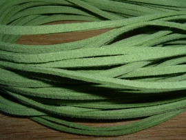 Mooie appelgroene imitatie suede veters