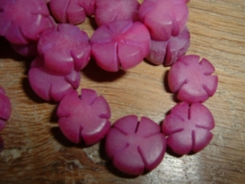 Mooie paarse Buri zaden bloem 5 x 11 mm.