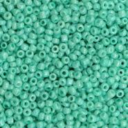 Glaskralen Rocailles 2 mm Teal green 10 gram