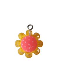 Bedel bloem (7)