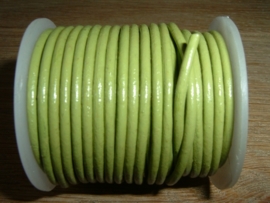 Rond DQ leerkoord van 2 mm. in een mooie groene kleur
