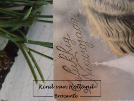 Oude postkaart "Gelukkig nieuwjaar" 2*