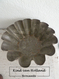 Grote ribbelvorm *