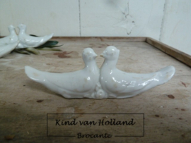 Tortelduifjes *