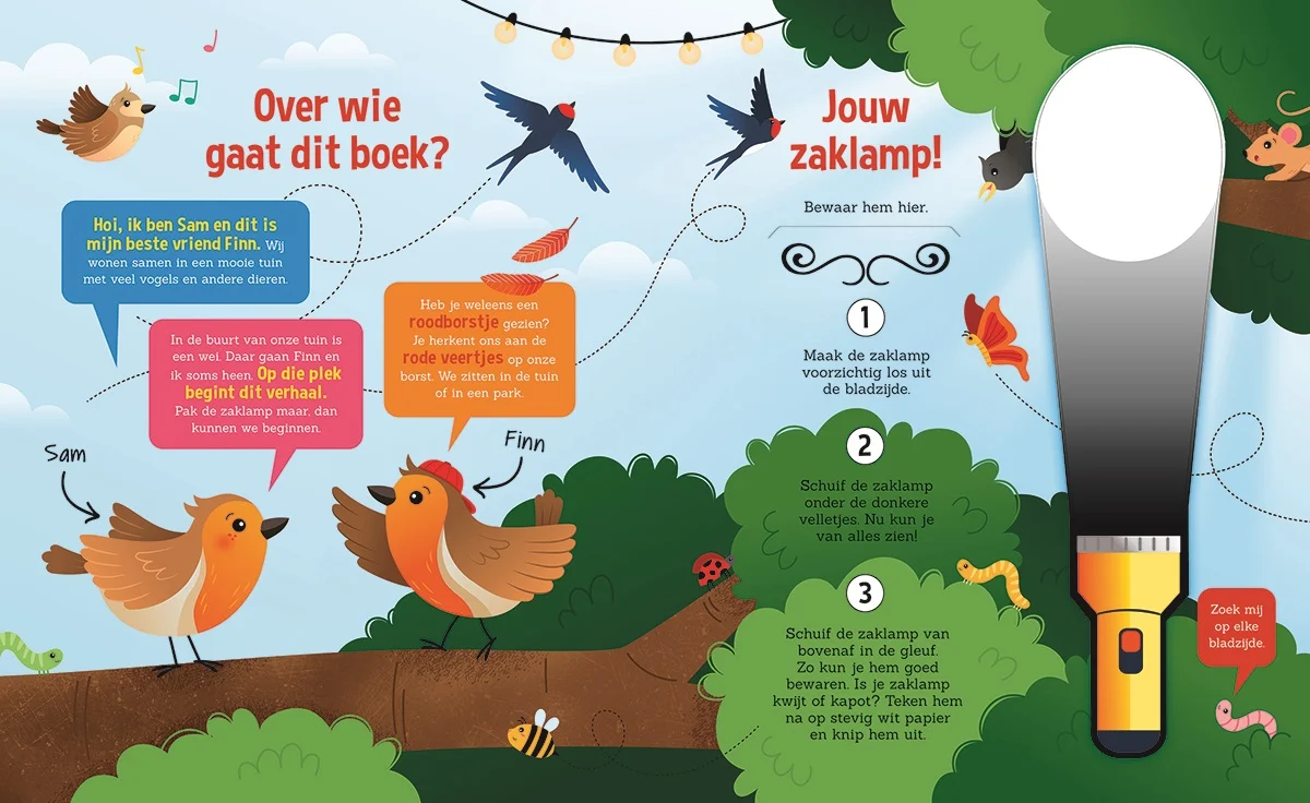 Zaklantaarnboek : Speuren naar vogels