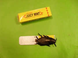 Kakkerlak Kauwgum